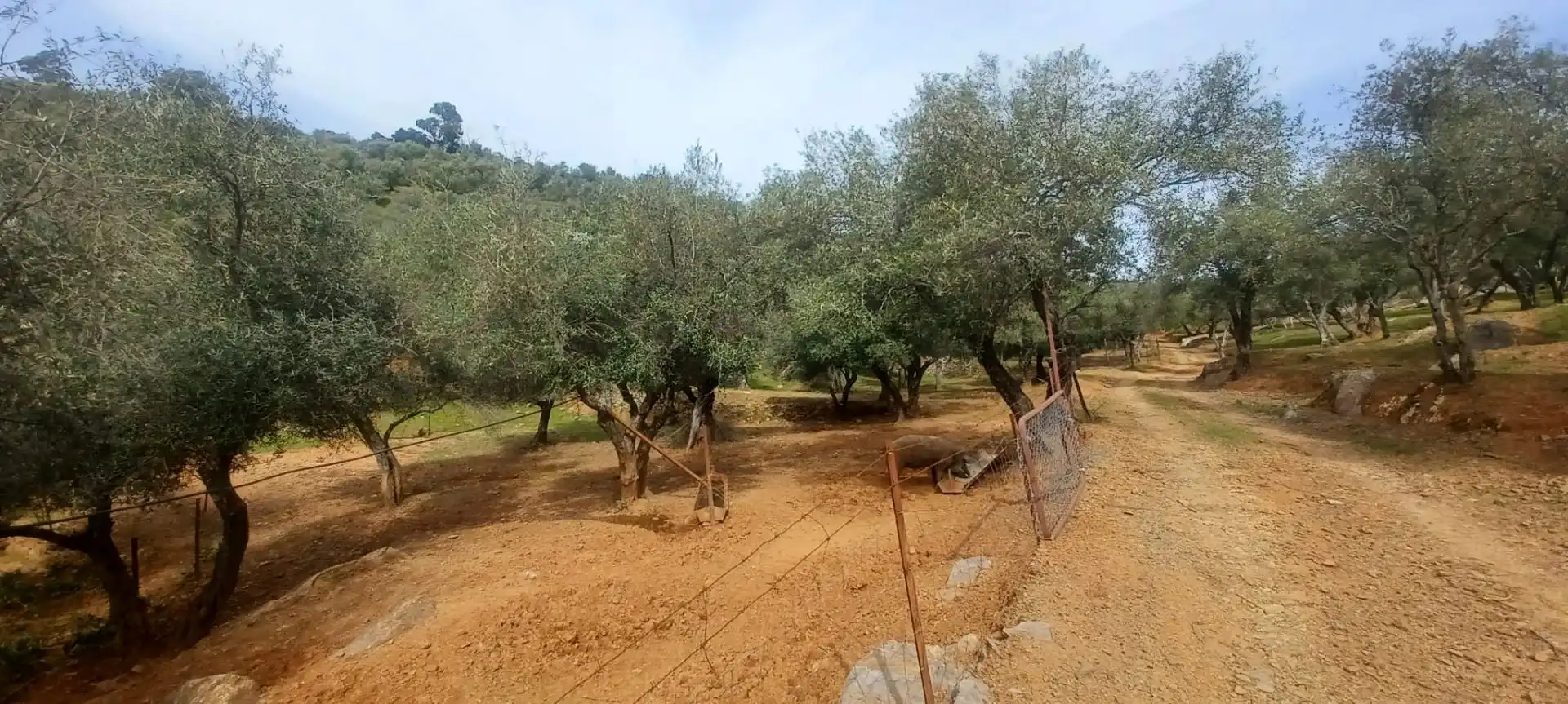 Terreni e lotti in vendita a Constantina, imagen 31