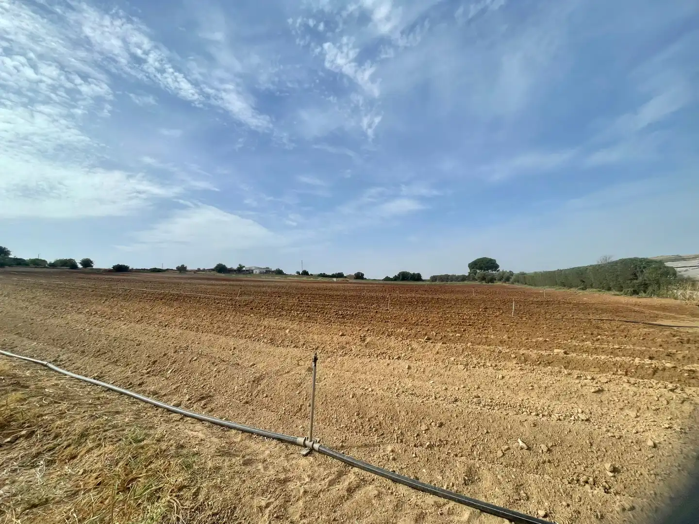 Terreni e lotti in vendita a Arcos de la Frontera, imagen 23