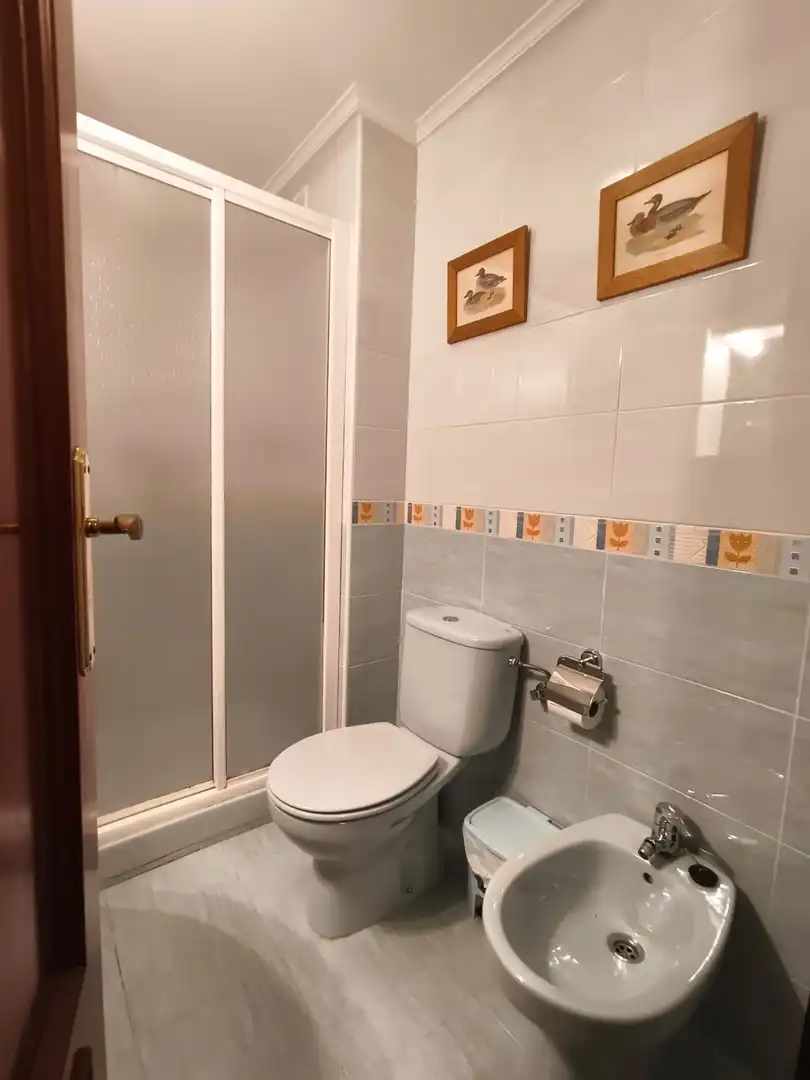 Baño de Piso de alquiler en Liérganes con Calefacción, Parquet y Amueblado