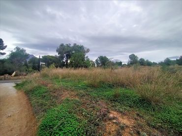 Terreny residencial en venda a Platja de Torres
