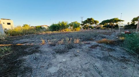 Photo 4 of Industrial land for sale in Bellreguard, Valencia