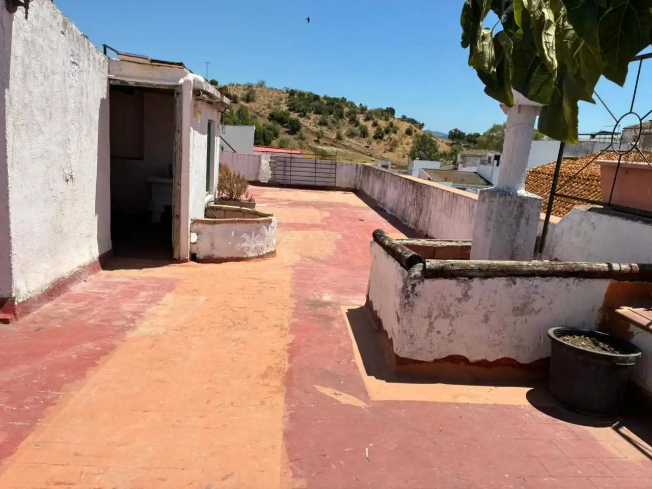 Exterior view of Houses for sale in Algar  with Terrace