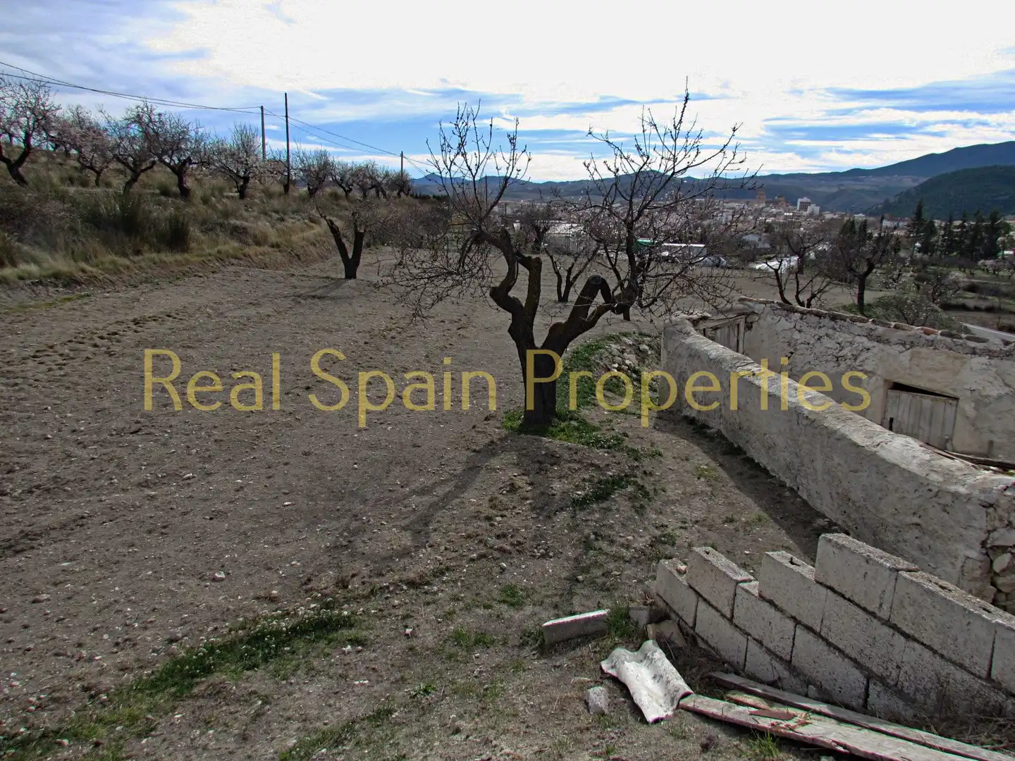 Casa rústica en venta en Vélez-Rubio, imagen 20
