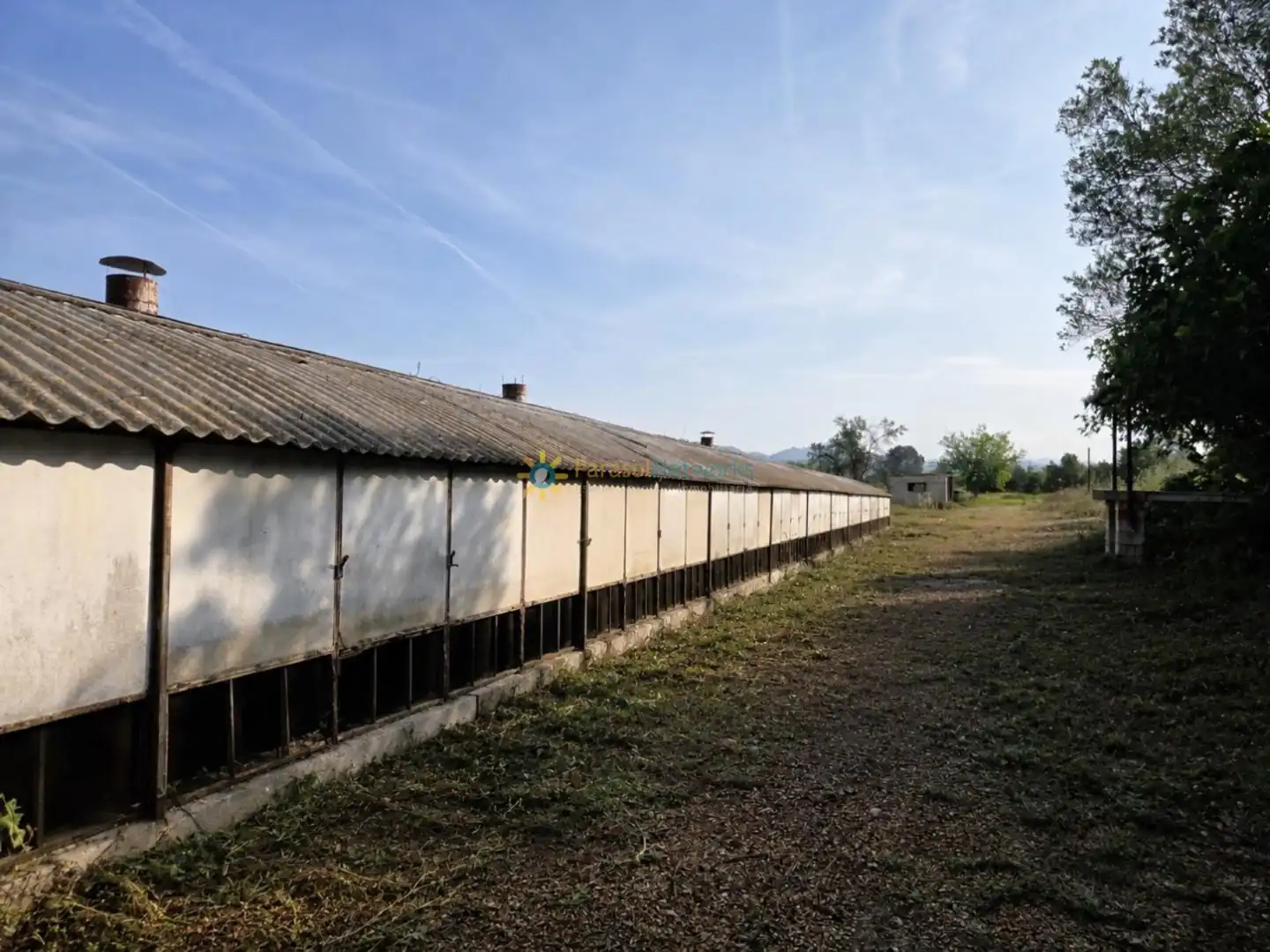 Rural land for sale in Benigànim, imagen 6
