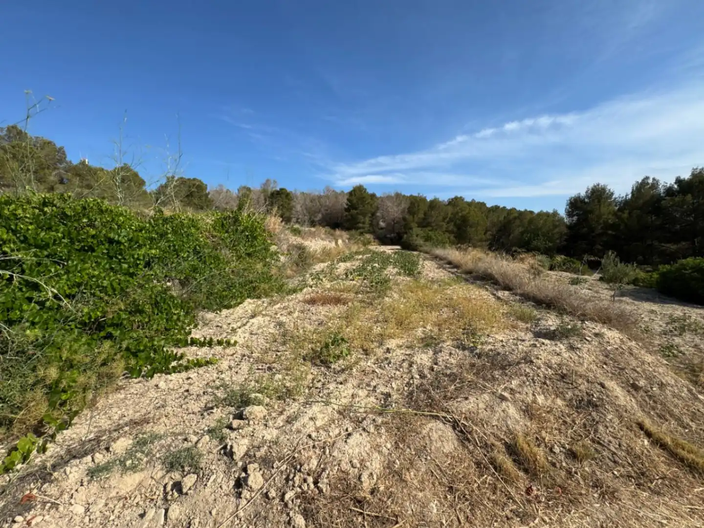 Wohnbaugrundstück zum Verkauf in Benissa pueblo, imagen 6