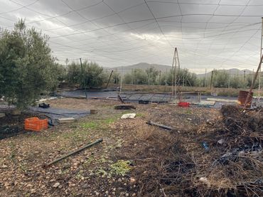 Terreno rustico in vendita a Berja