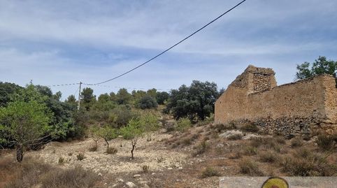 OriaCasa, image 2