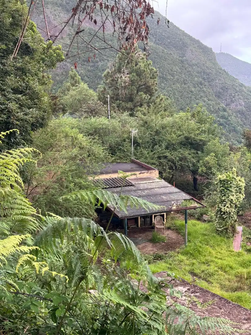Vista exterior de Finca rústica en venta en Los Realejos