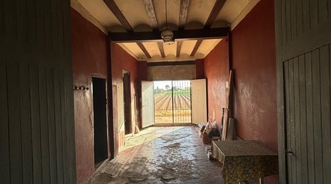 Foto 4 de Finca rústica en venta en Saboya, Alboraya