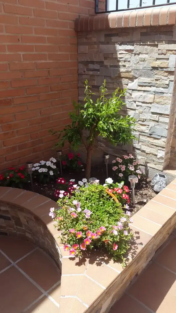 Jardí de Casa o xalet en venda en Argamasilla de Calatrava amb Jardí privat i Moblat