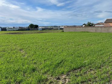 Terreno rustico in vendita a Camino  del arco