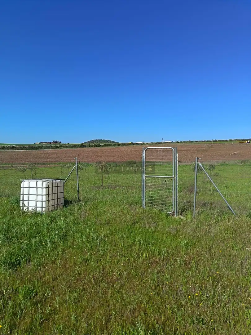 Terreni e lotti in vendita a Norte, imagen 8