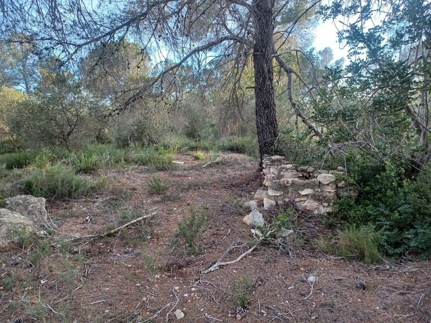 Terreno residencial en venta en dels Morts, imagen 5