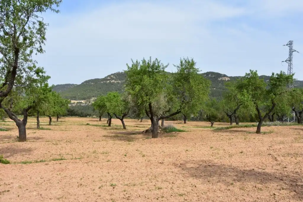 Country homes for sale in Ráfales