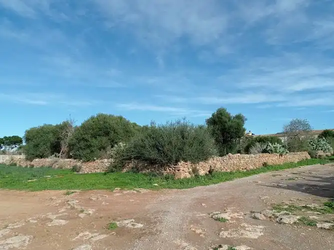 Terreny rústic en venda a Ses Salines Poble, imagen 7