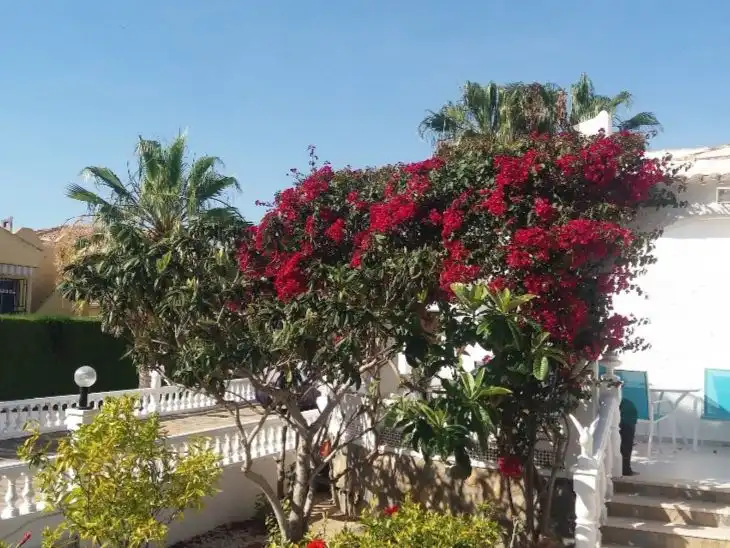 Detached house with pool for sale in Avenida jaca 13, imagen 40