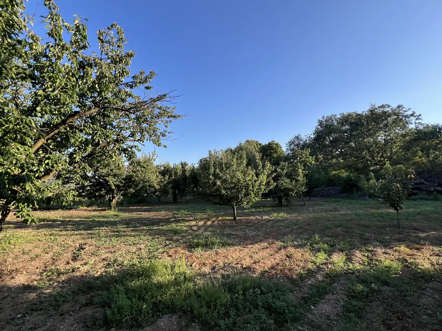 Terreni e lotti in vendita a Garganta la Olla, imagen 27