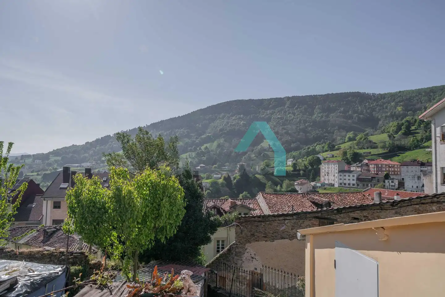 Vista exterior de Casa o chalet en venta en Tineo con Jardín privado