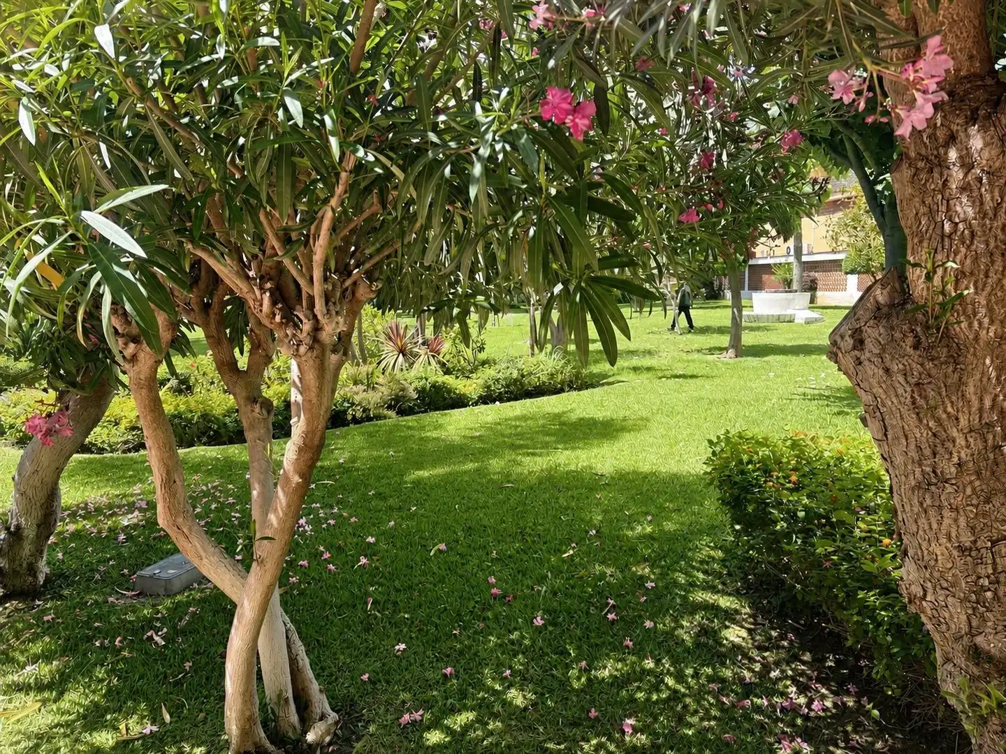 Apartamento con terraza en alquiler en La Carihuela - Los Nidos, imagen 23
