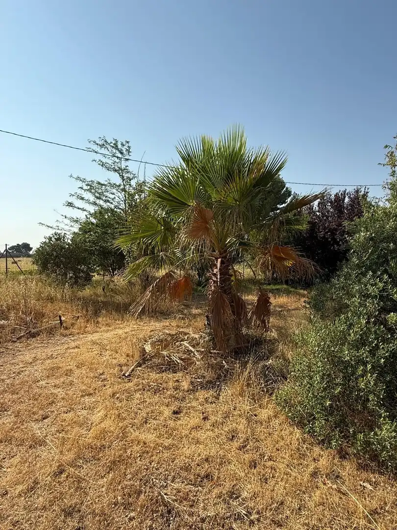 Terreni e lotti in vendita a Barrios rurales del oeste, imagen 18