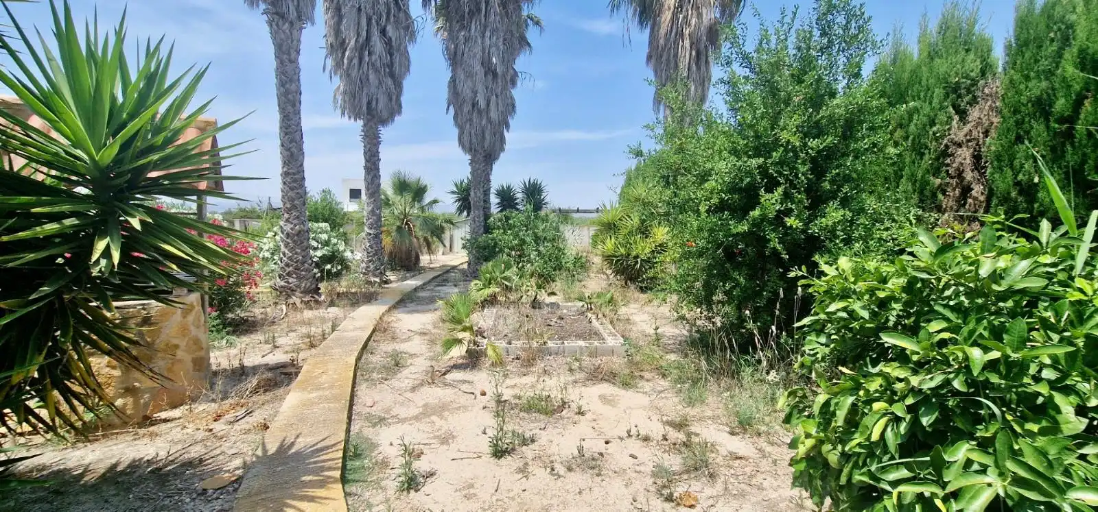 Houses for sale in Catral  with Private garden, Terrace and Swimming Pool