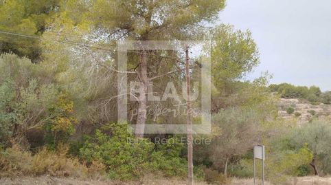 Foto 4 de Terreno en venta en Cansalades, Cap Martí - El Tossalet - Pinomar, Jávea / Xàbia