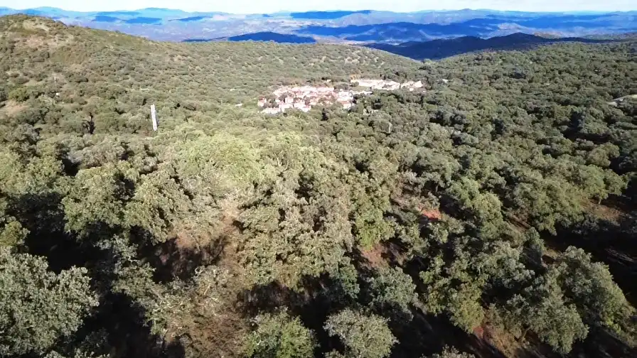 Terrenos y solares en venta en Dehesa 8