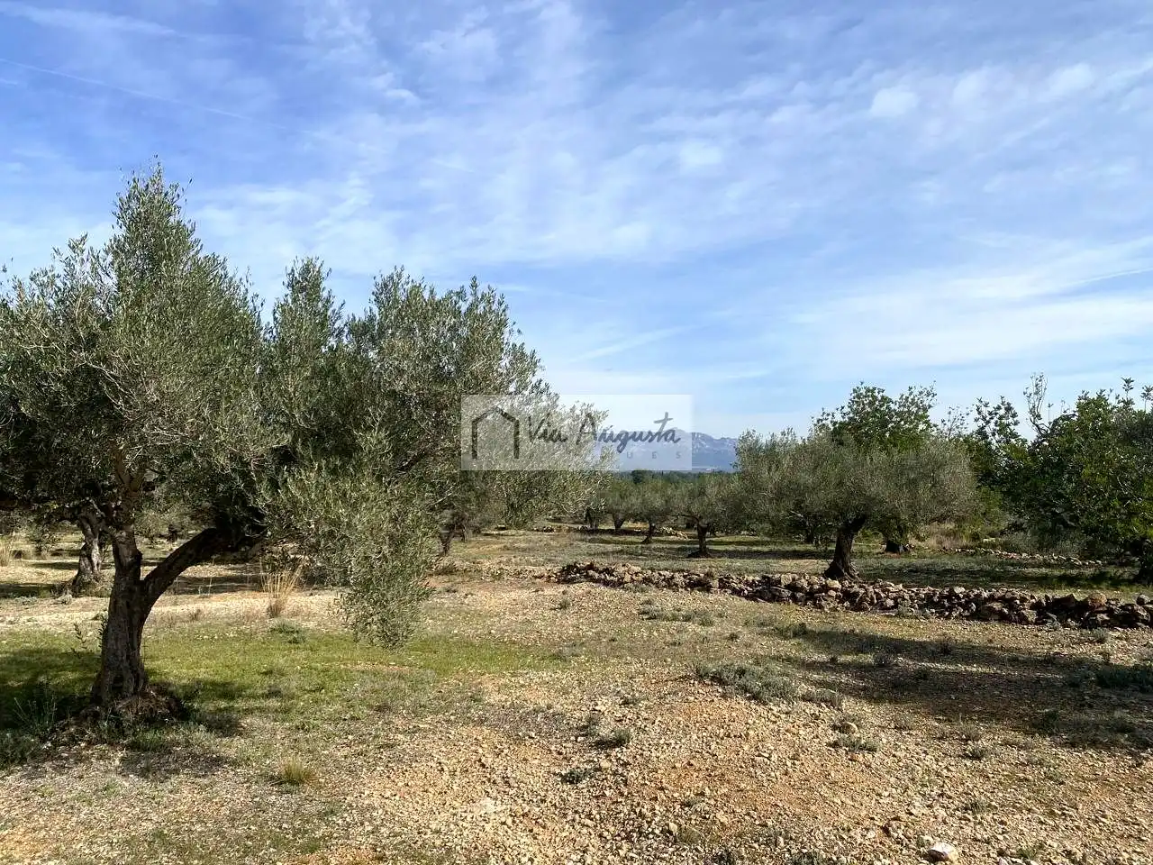 Terreno rustico in vendita a Planas, imagen 16
