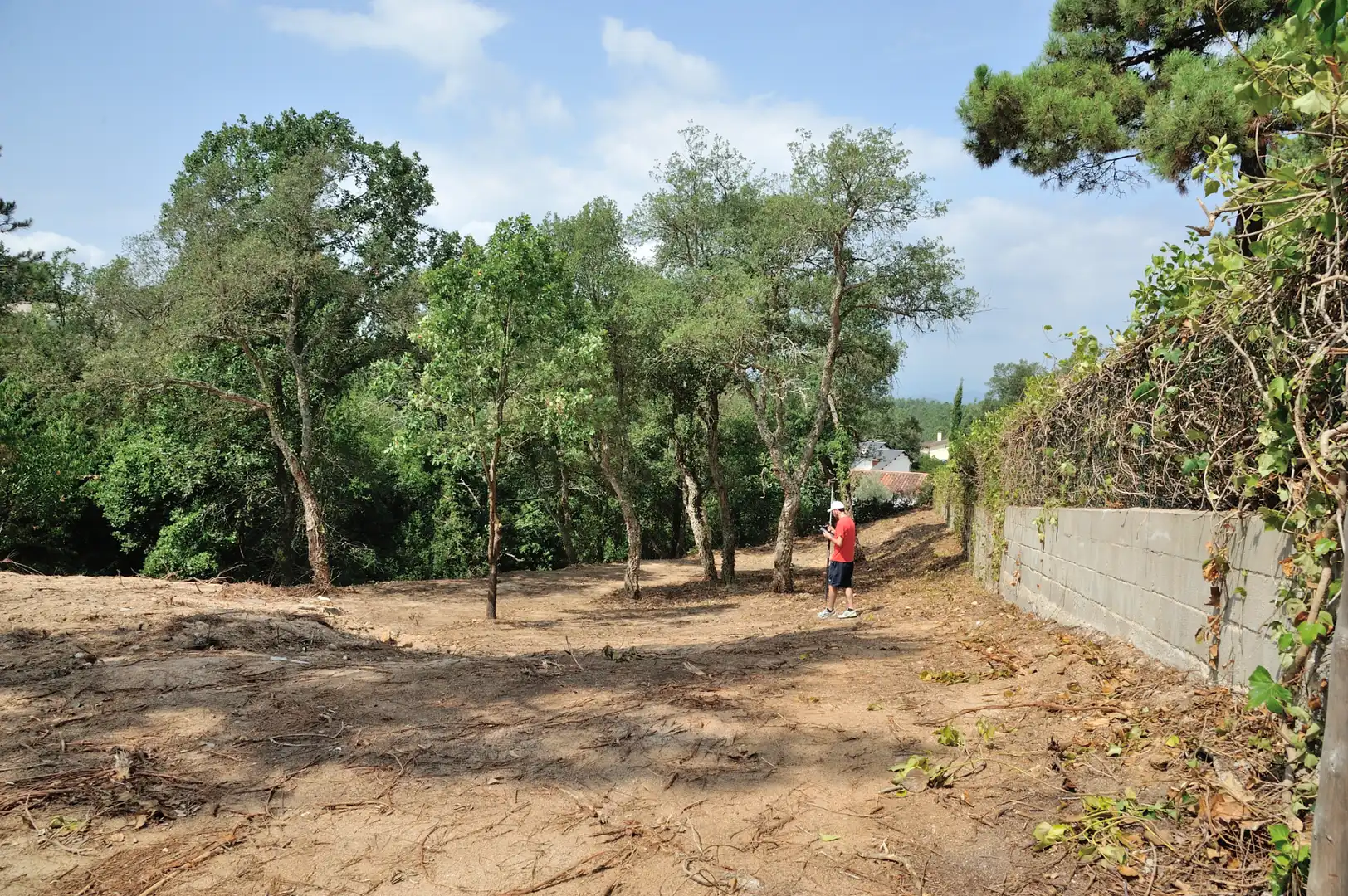 Terreny residencial en venda a Carrer les Mimoses, imagen 5
