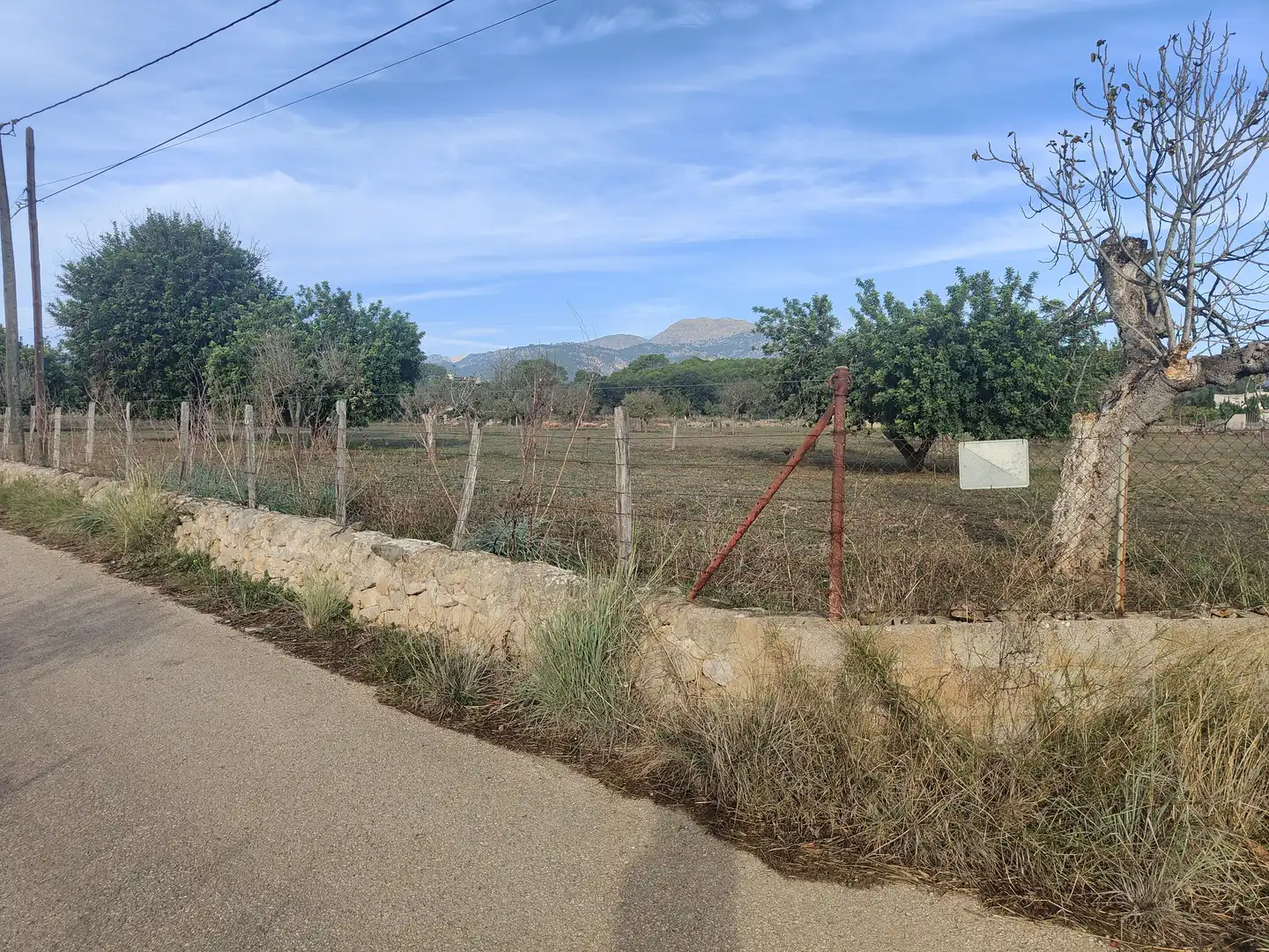Terrain rustique à vendre à Camí Moscari 26, imagen 6