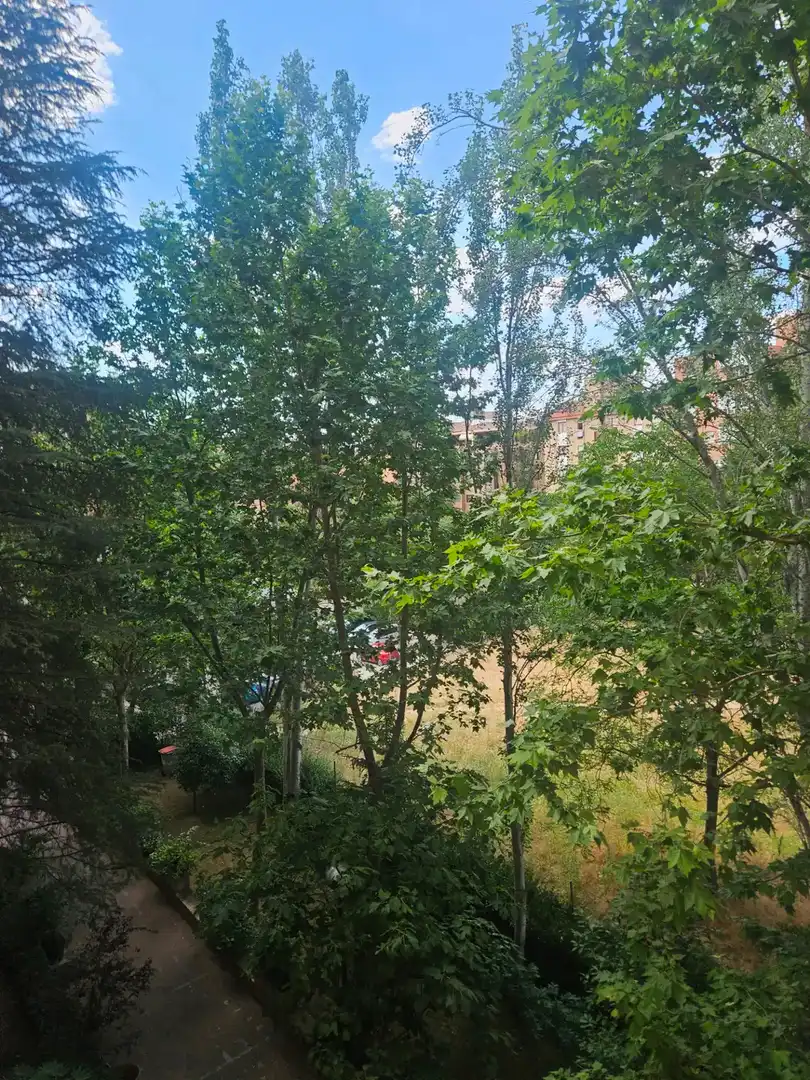 Jardí de Pis de lloguer en Madrid amb Aire condicionat, Calefacció i Terrassa