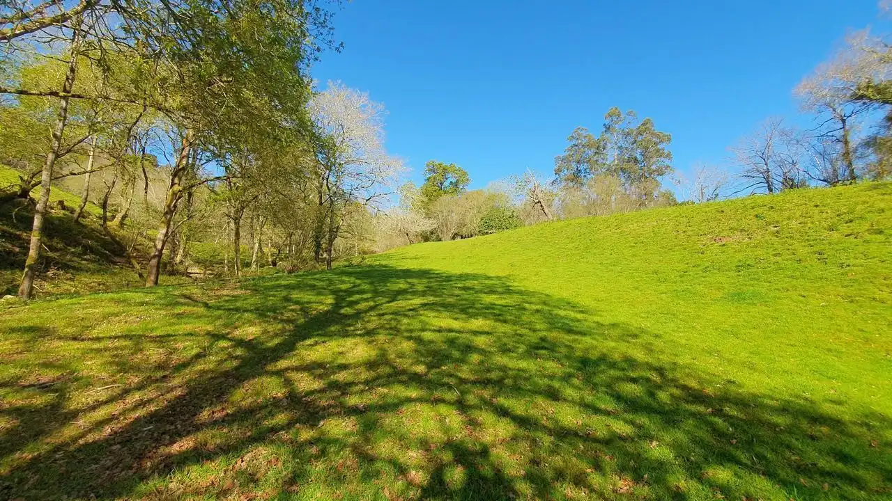 Finca rústica en venta en Llanes