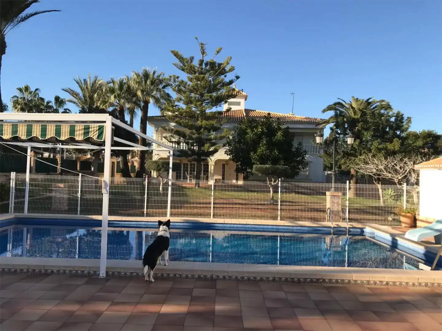 Piscina de Casa o chalet en venta en Orihuela con Aire acondicionado y Piscina