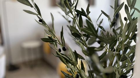 Foto 3 de Planta baixa en venda a Avenida Príncipe de Asturias, San Fulgencio, Alicante