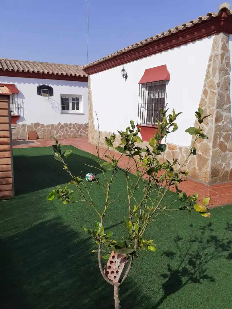 Detached house with pool to rent in Núcleo urbano, imagen 7