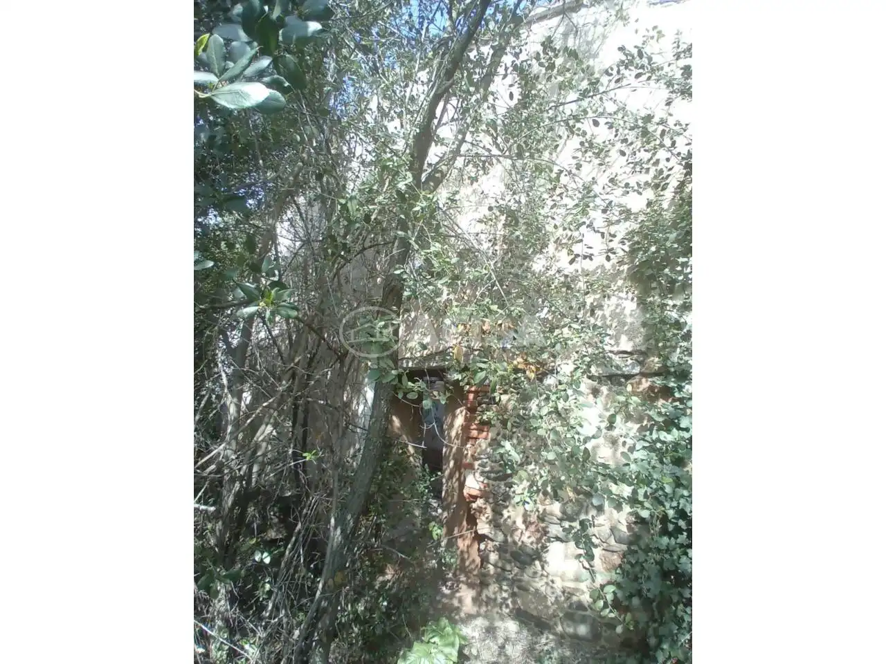 Terreno en venta en Cànoves I Samalús