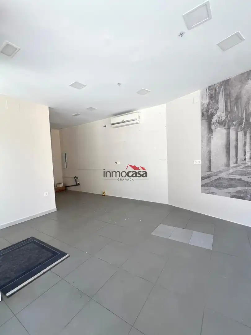 Commercial properties for rent in Avenida DON BOSCO, Barrio de Zaidín