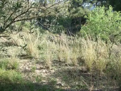 Lands and plots for sale in Lugar Can Segarra, imagen 23