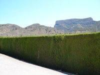 Exterior view of House or chalet for sale in Petrer  with Terrace