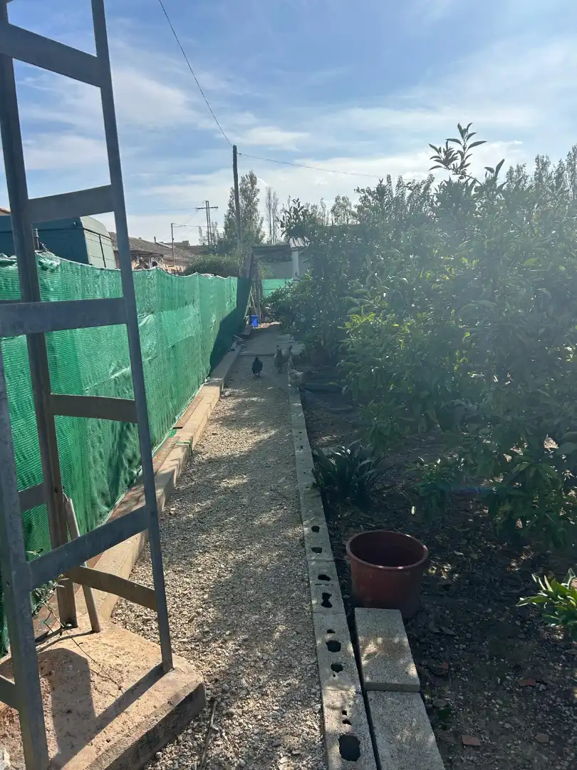 Garden of Country homes for sale in Sueca  with Private garden
