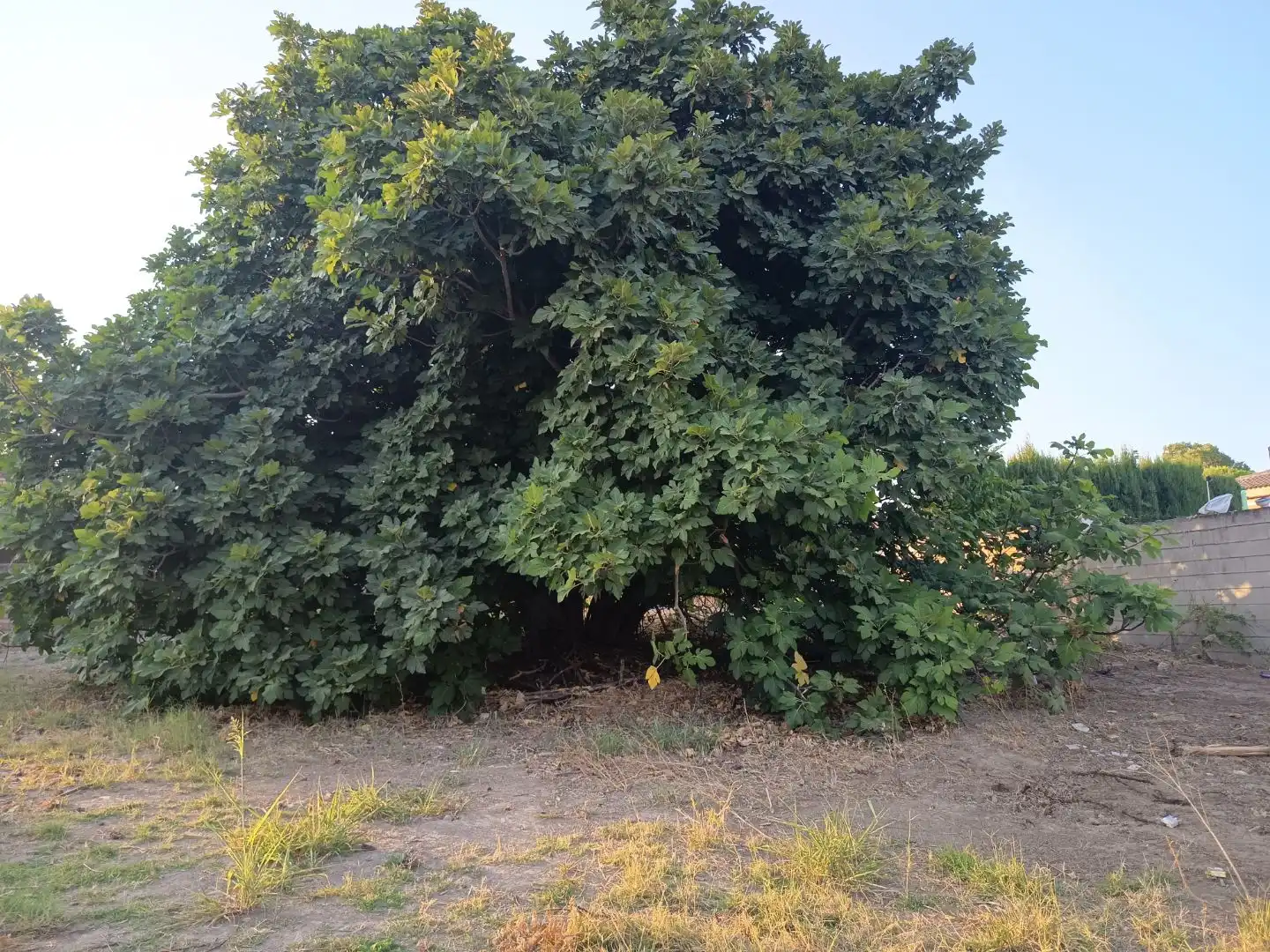 Residencial en venda en Guillena