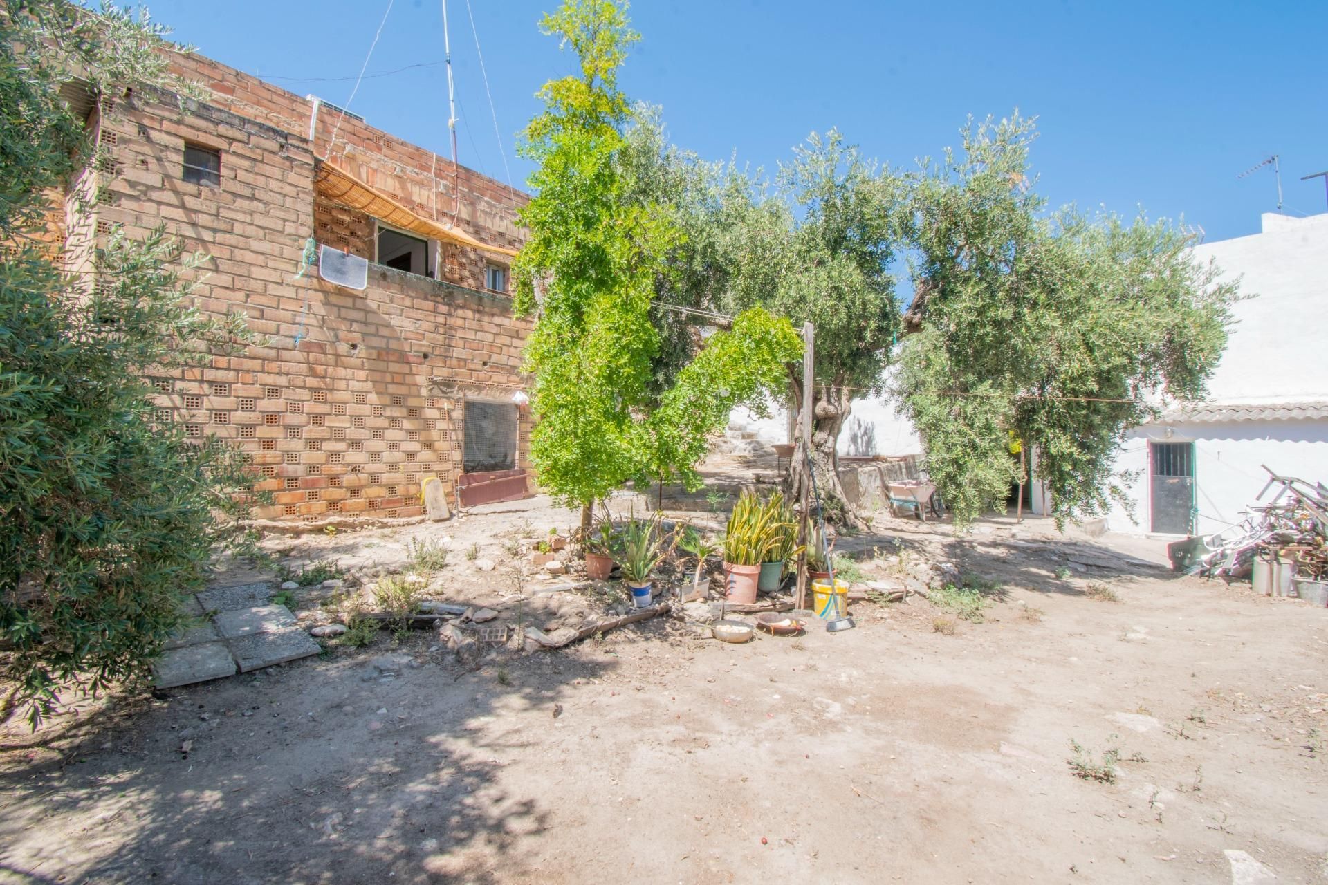 Vista exterior de Casa o xalet en venda en Paterna de Rivera amb Jardí privat i Terrassa