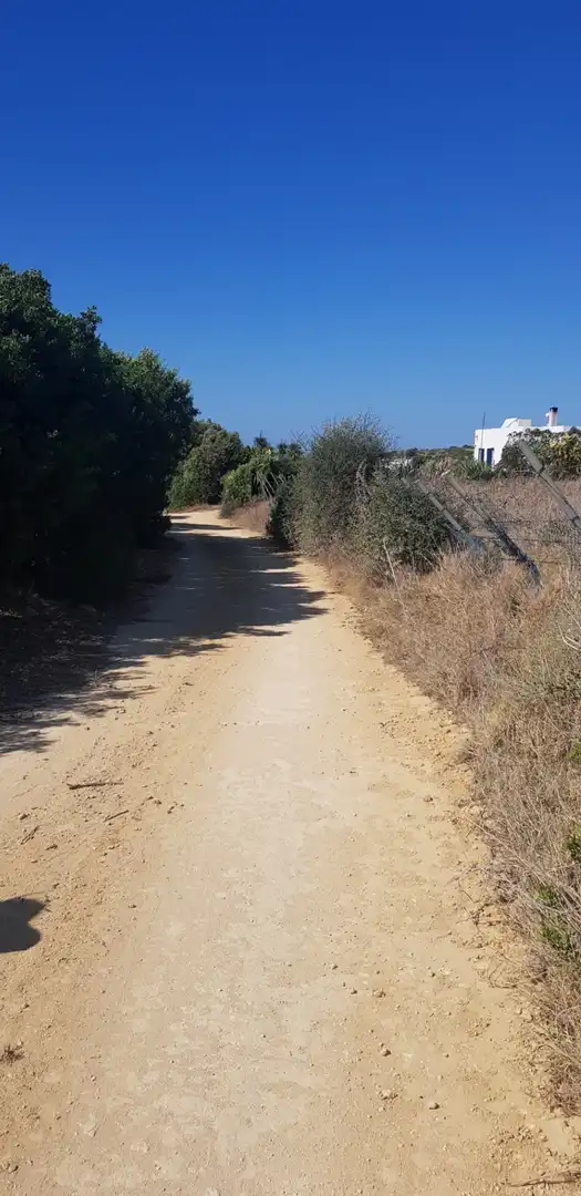 Terreny rústic en venda a Vejer, imagen 9