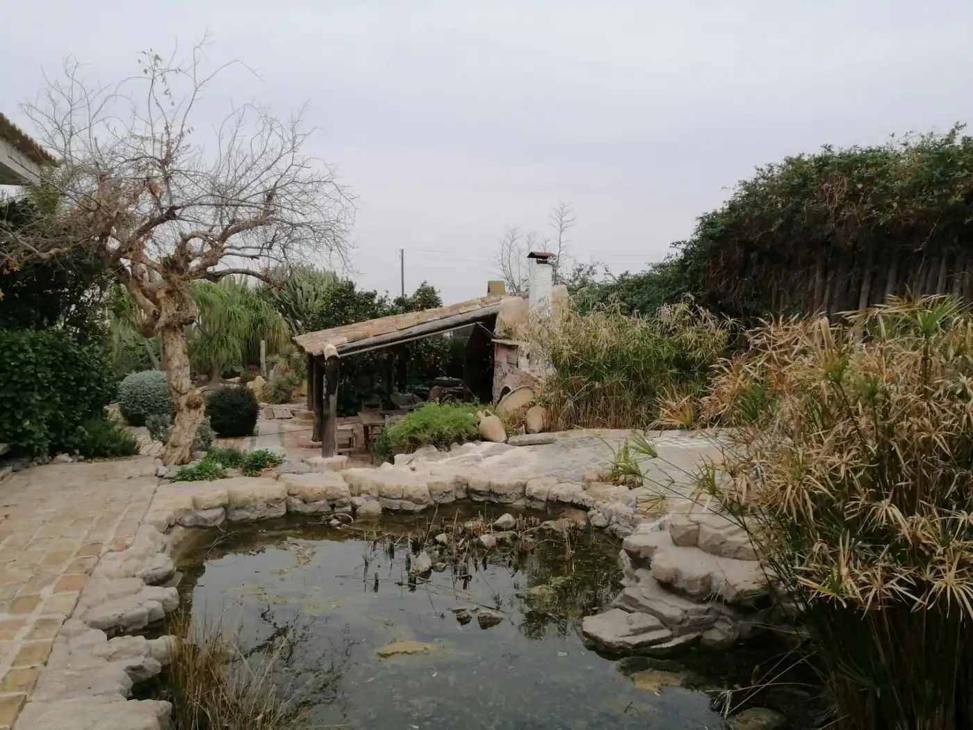 Jardí de Casa o xalet en venda en Murcia amb Calefacció, Jardí privat i Parquet