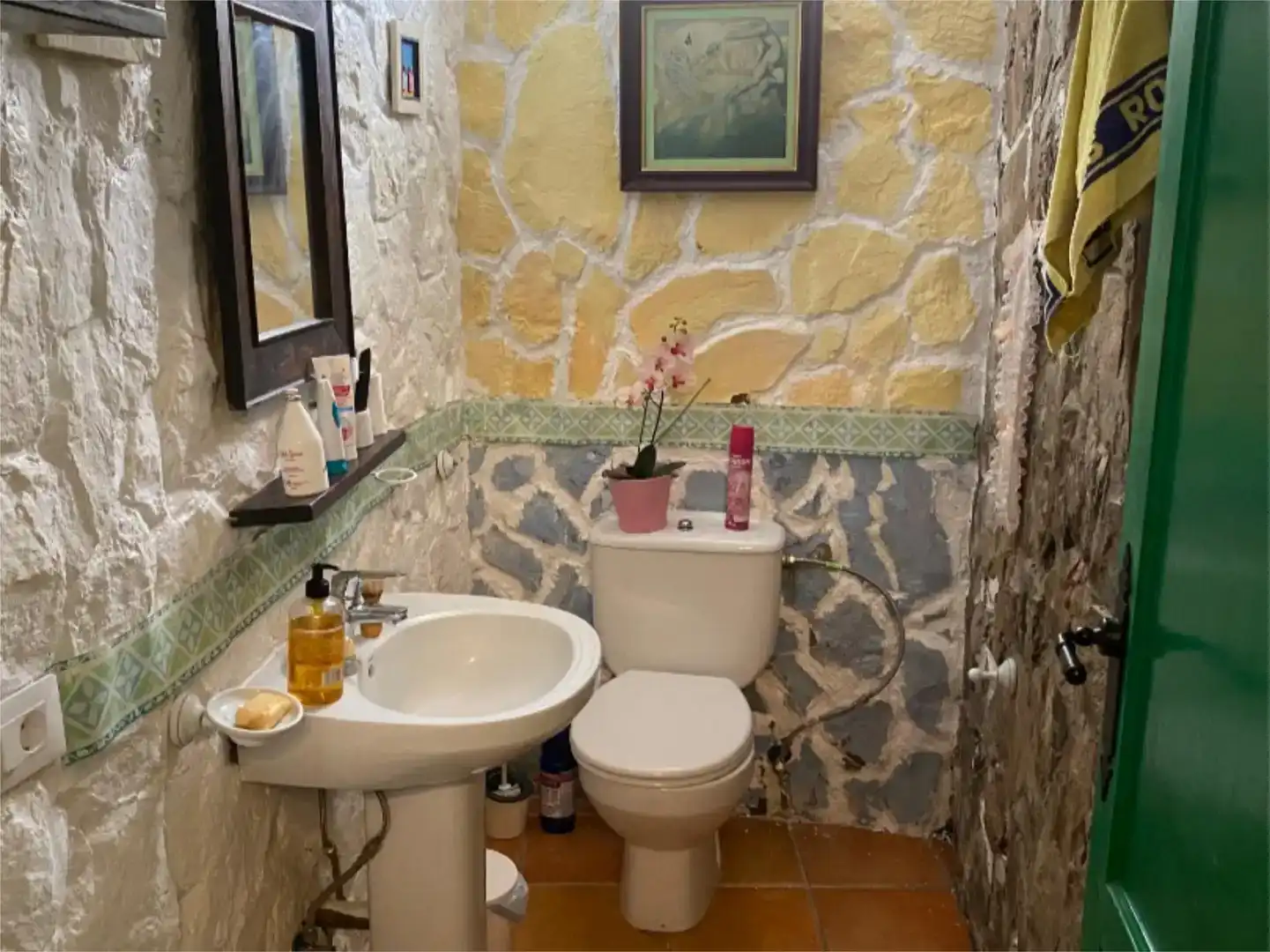 Baño de Casa o chalet en venta en Gáldar con Piscina