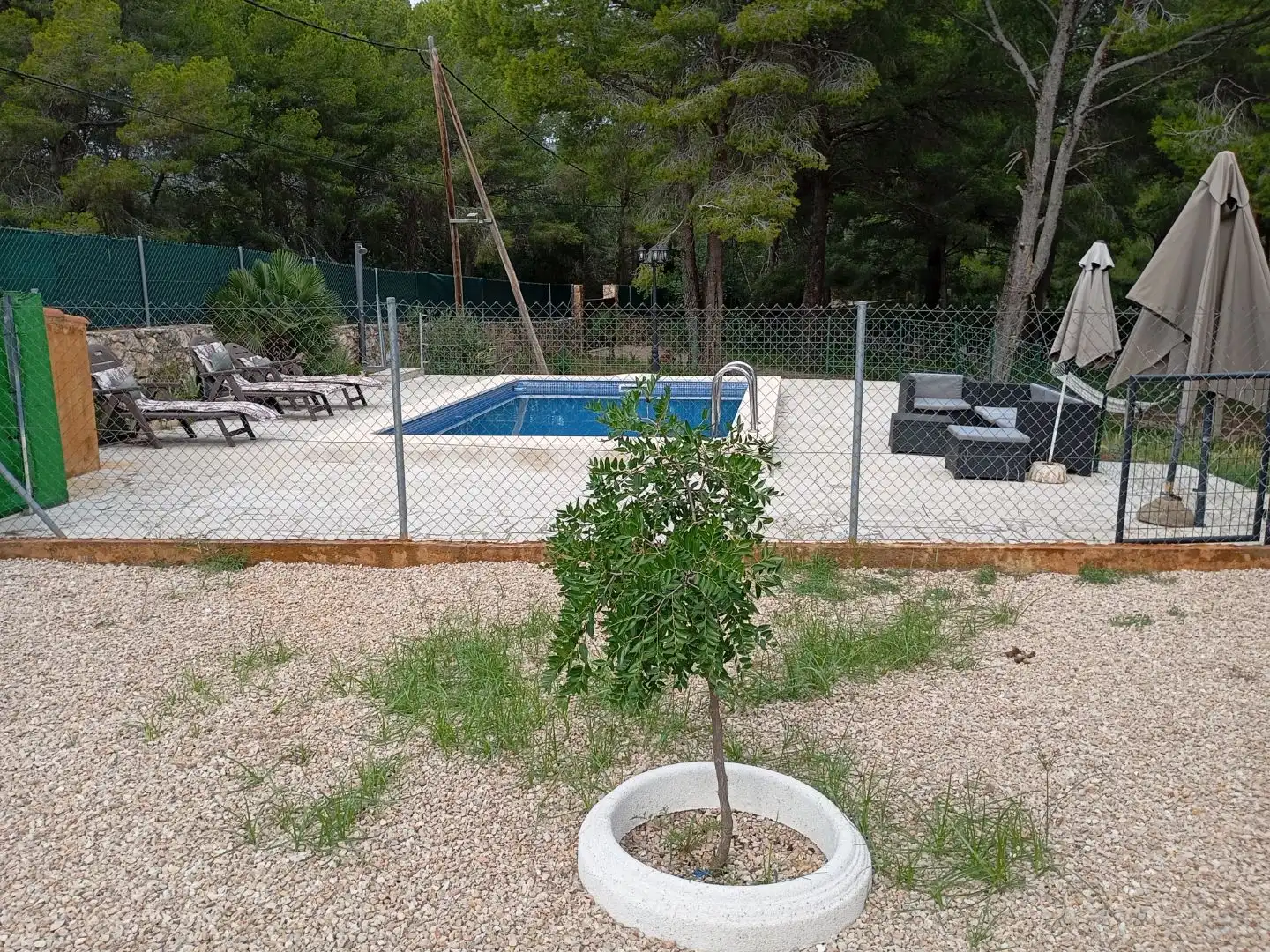 Villa avec piscine à vendre à Carrer dels Bolets 225, imagen 2