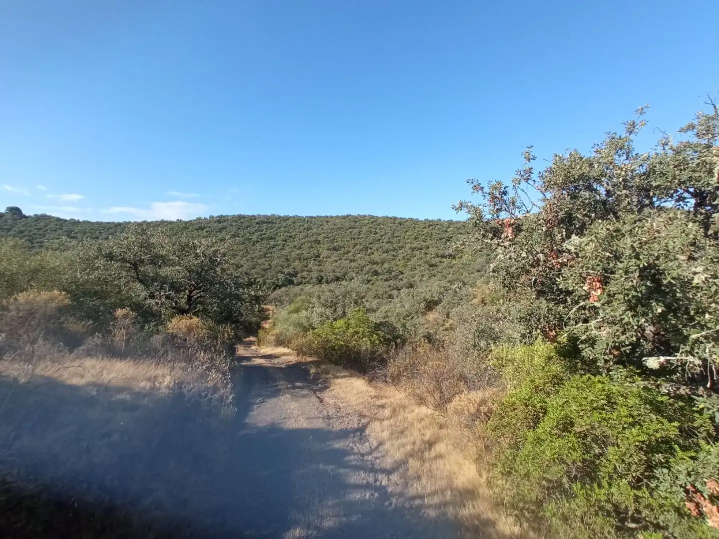 Terreno en venta en Córdoba