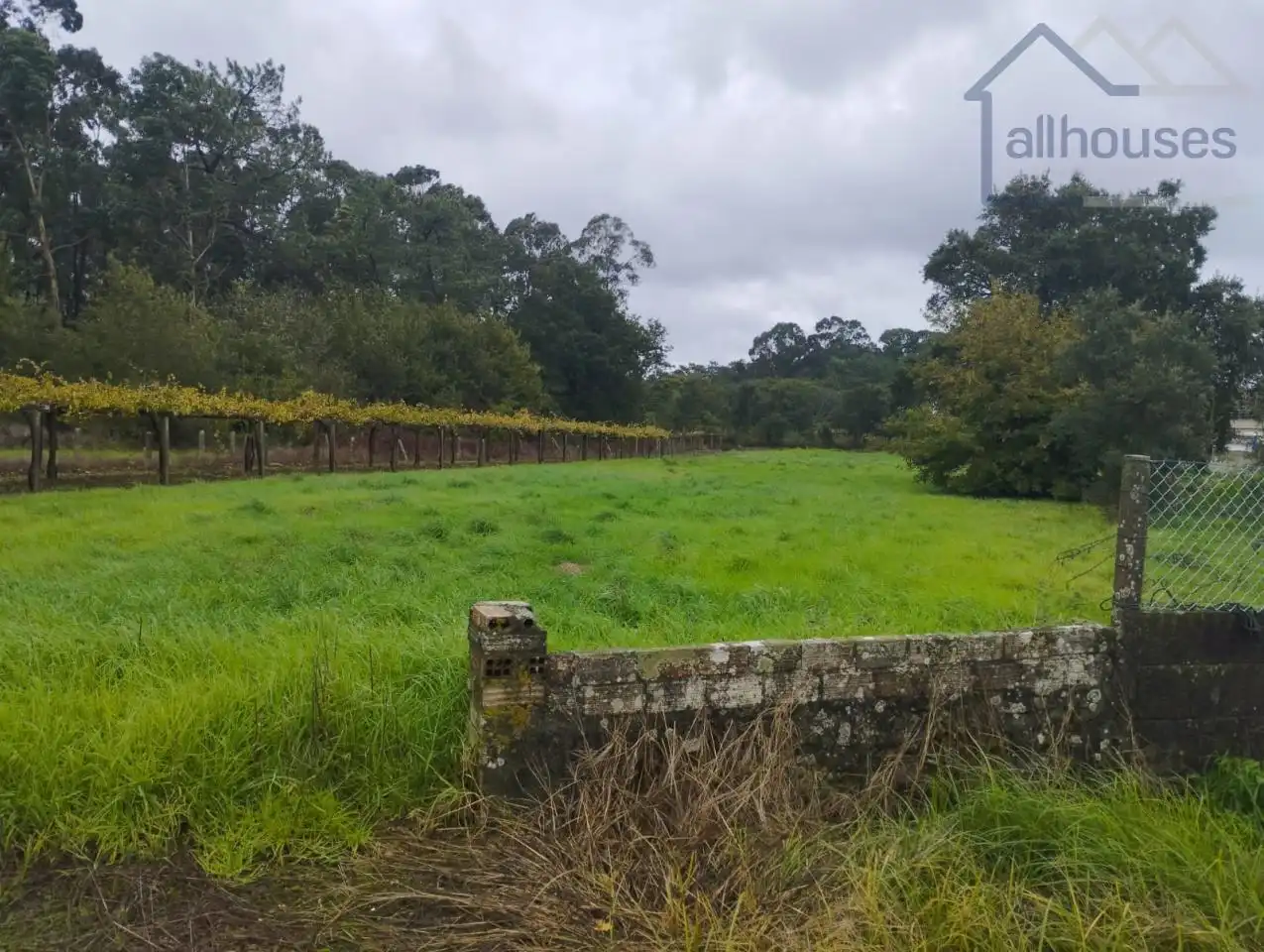 Terreno residenziale in vendita a O Rosal, imagen 3