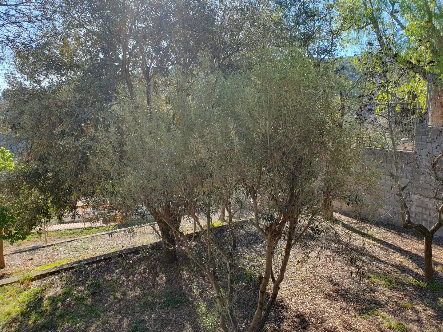 Terreny residencial en venda a Sarrià - Sant Gervasi, imagen 21