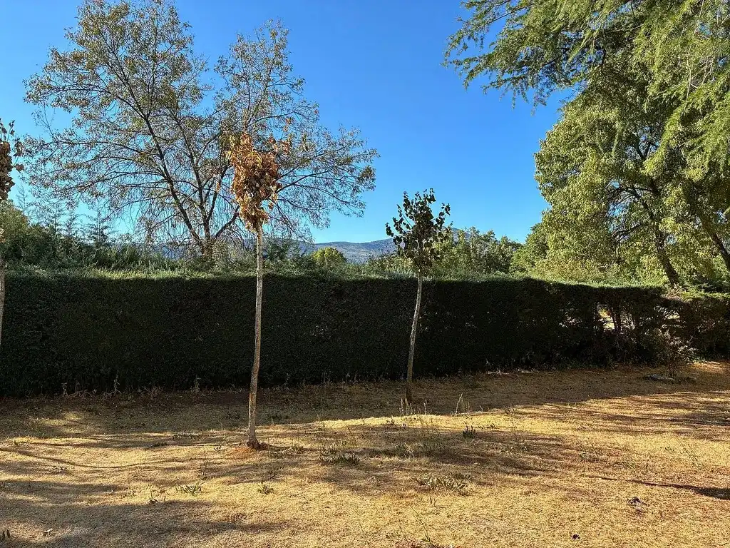 Ground floor for sale in Guadarrama  with Heating, Terrace and Community pool